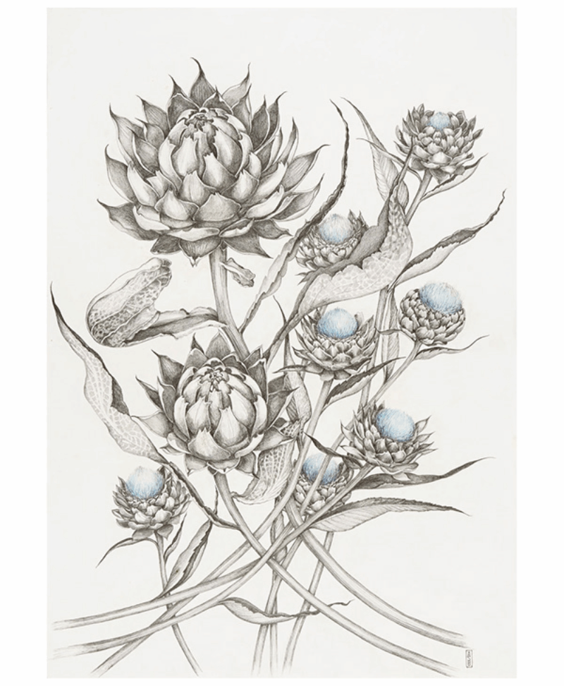 Artichoke