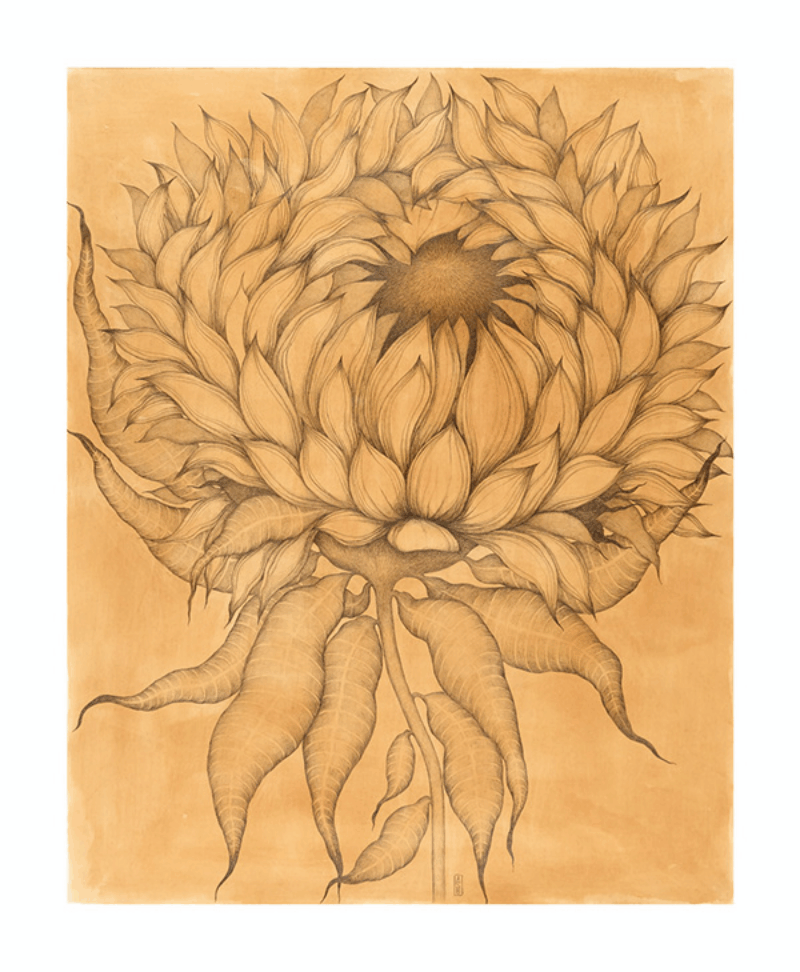 Sunflower 2