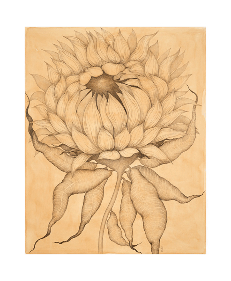 Sunflower 3