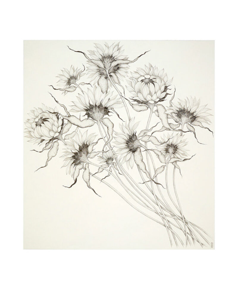 Sunflowers 1