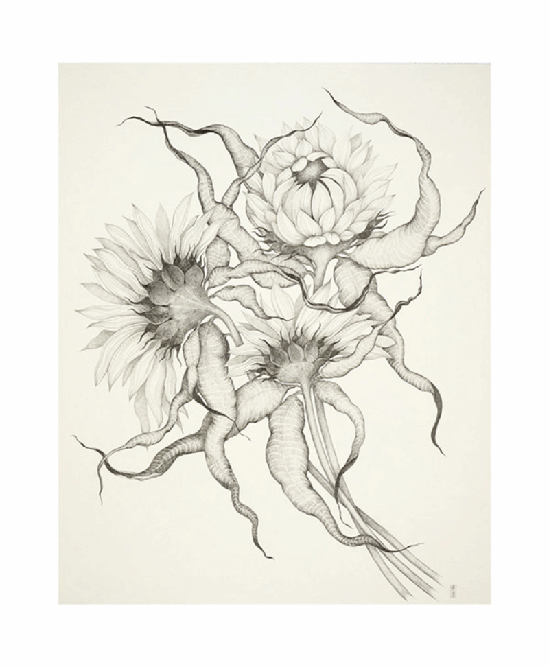 Sunflowers 2
