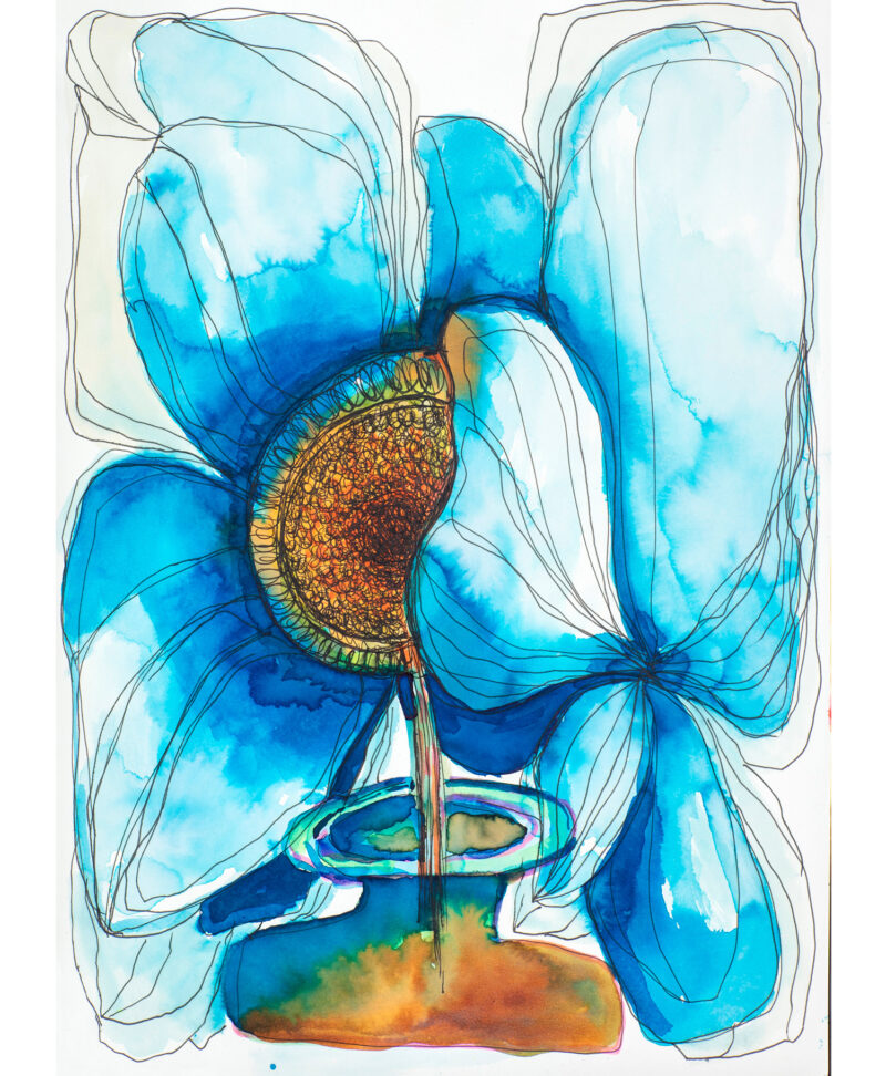 Blue Poppy