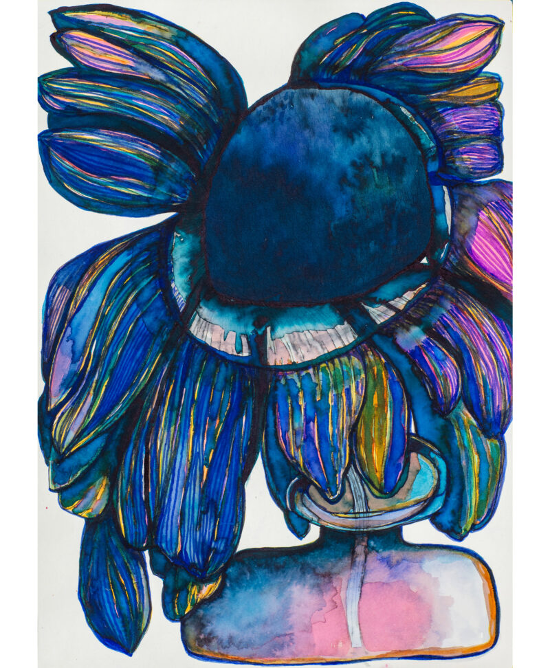Daisy Blue