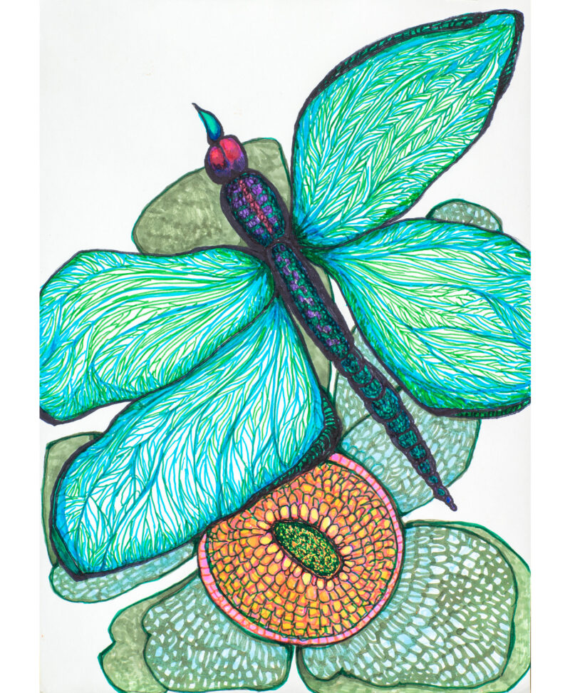 Dragonfly