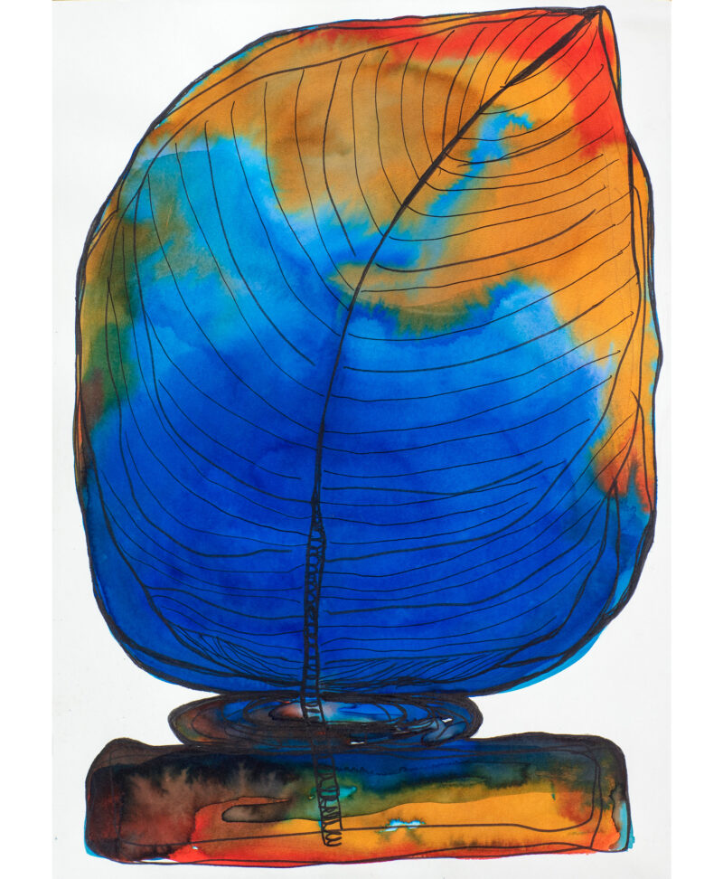 Earth