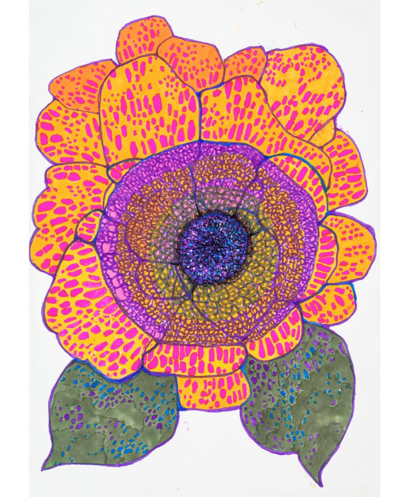 Mindful