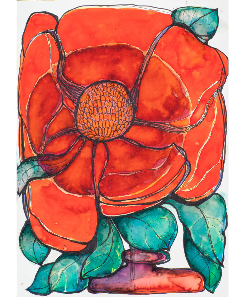 Orange Rose