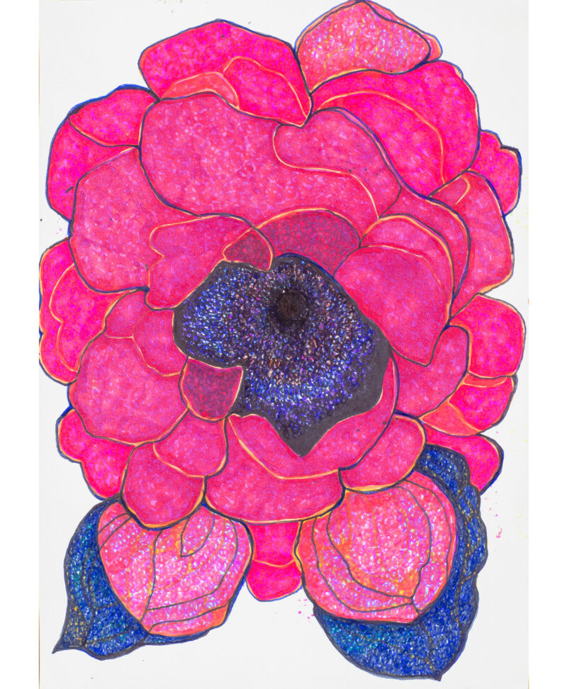 Pink and blue