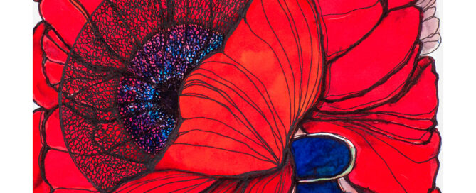 Red Poppy 1