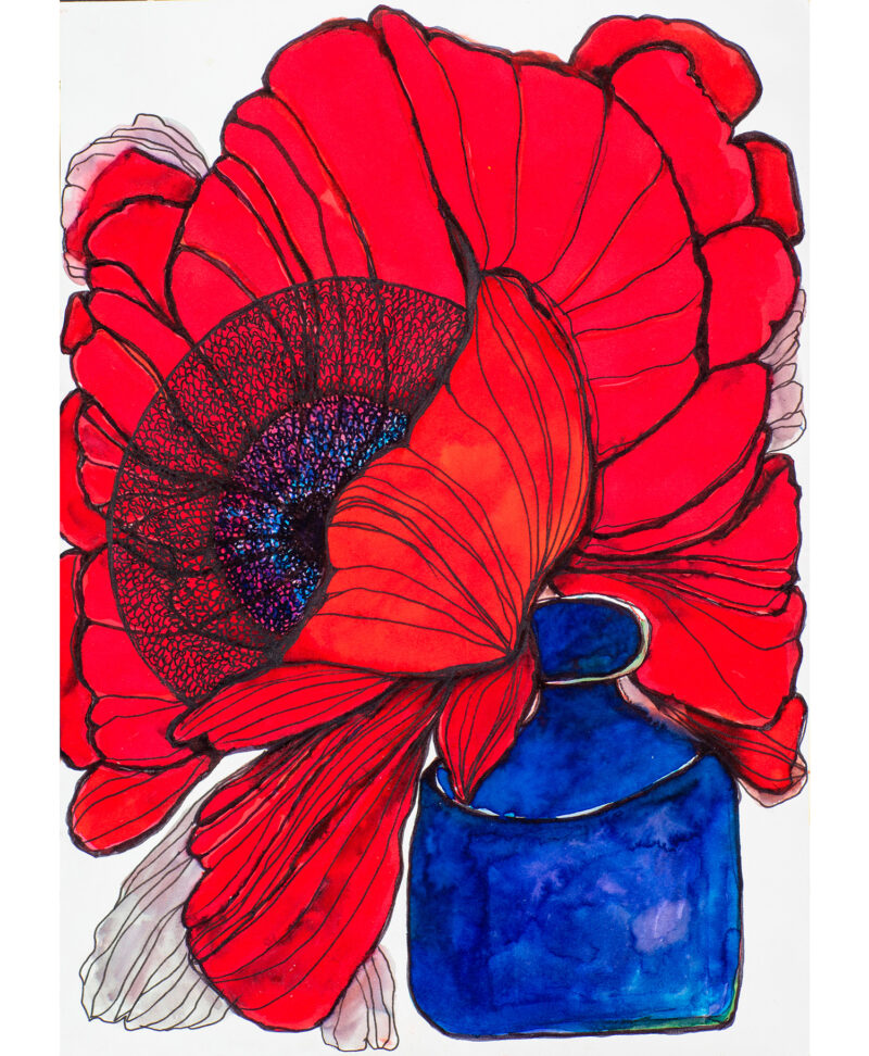 Red Poppy 1