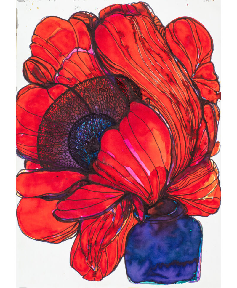 Red Poppy