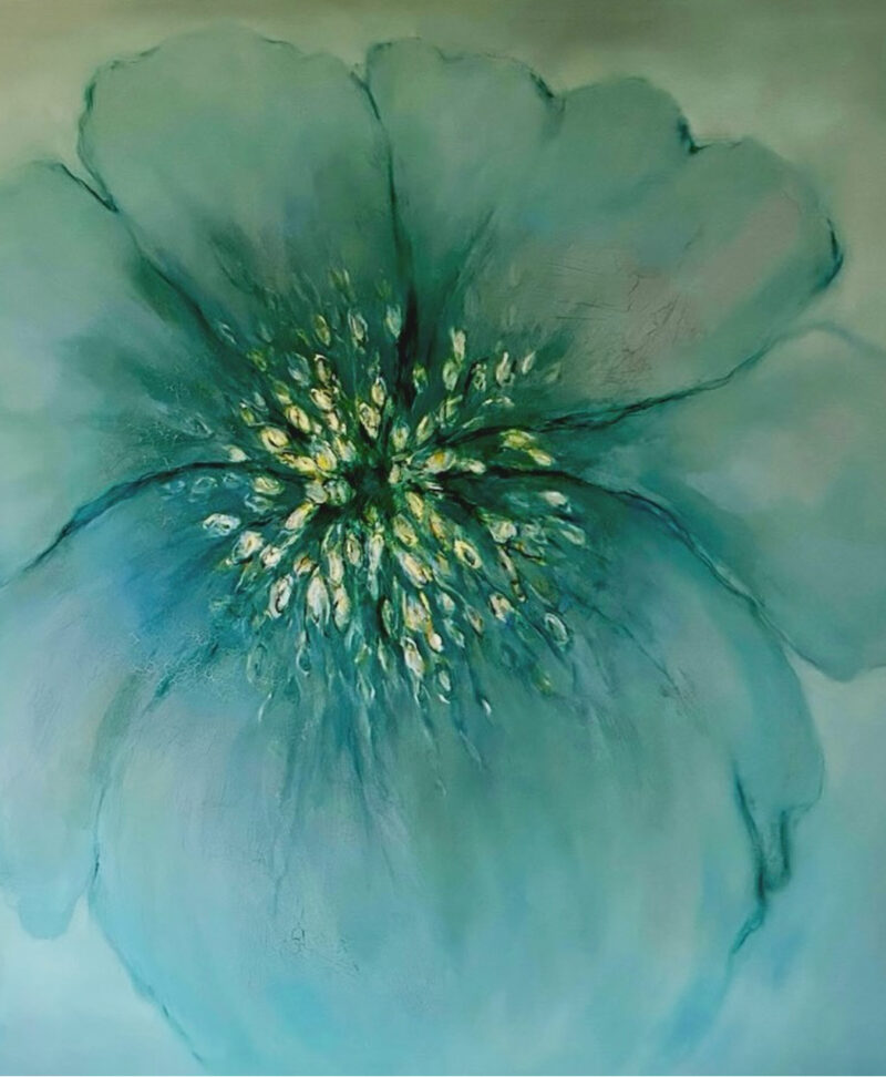 Himalayan Poppy