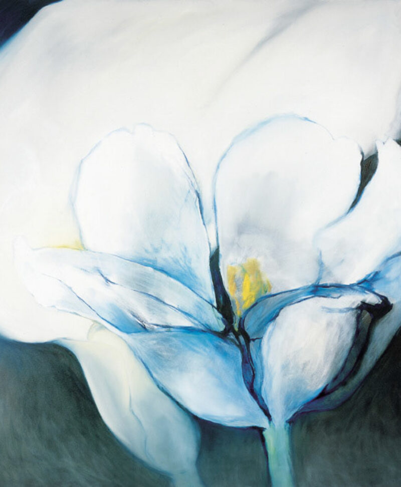 Lily and Tulip