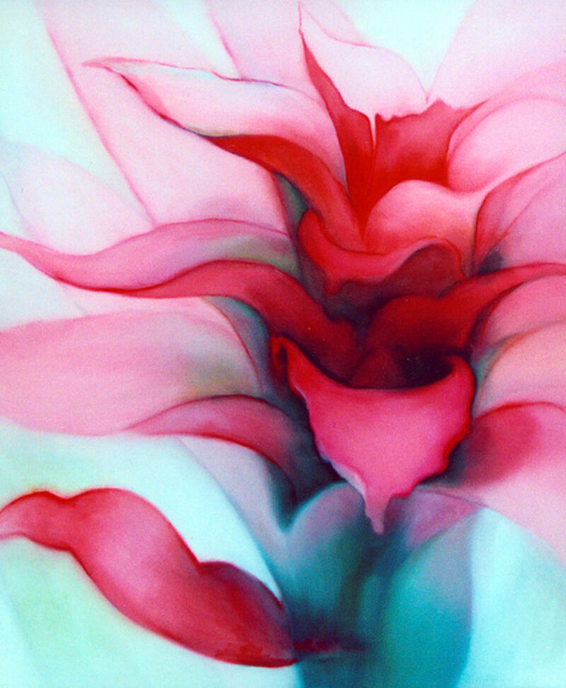 Pink Cactus