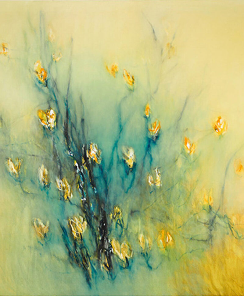 Shallow yellow waters