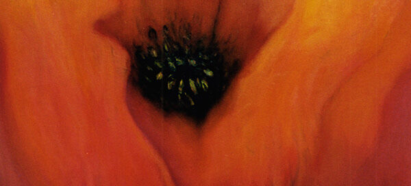 Orange Poppy