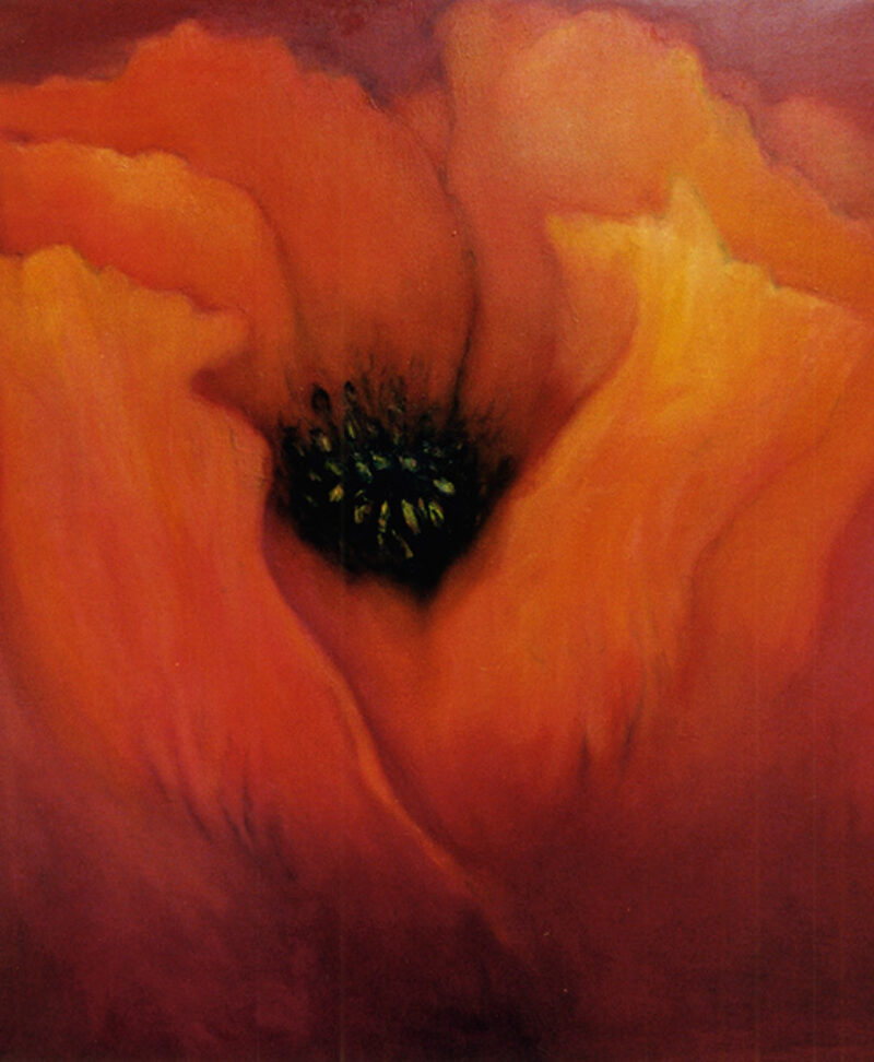 Orange Poppy